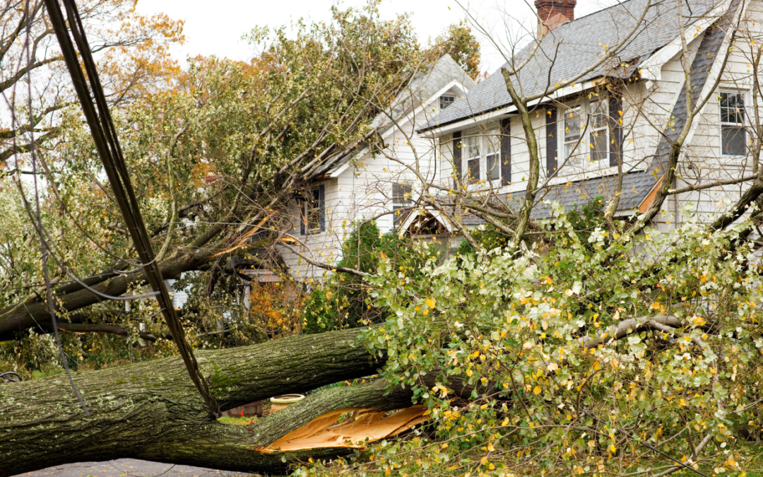 Tree fallen on a home after a hurricane.