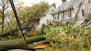 Tree fallen on a home after a hurricane.