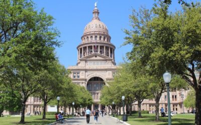 2025: What Can We Expect in the 89th Texas Legislature?